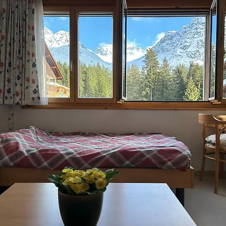 The Window To The Mountains