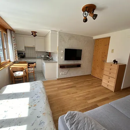 The Window To The Mountains Apartment