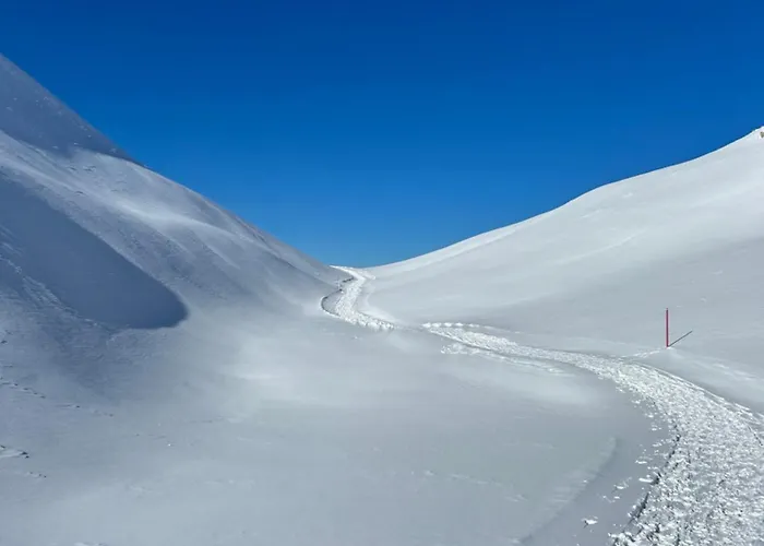 Daire The Window To The Mountains