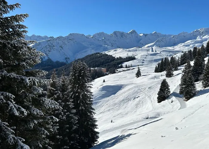 The Window To The Mountains Daire *