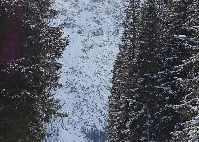 The Window To The Mountains Daire *