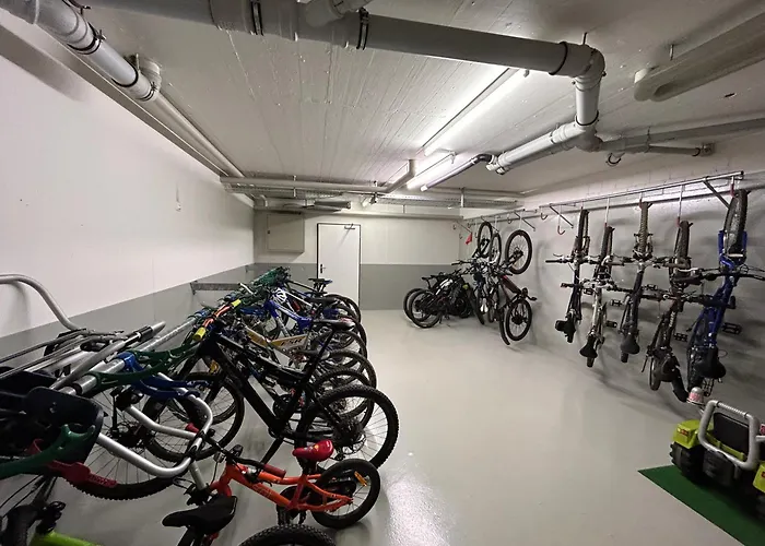 The Window To The Mountains Daire